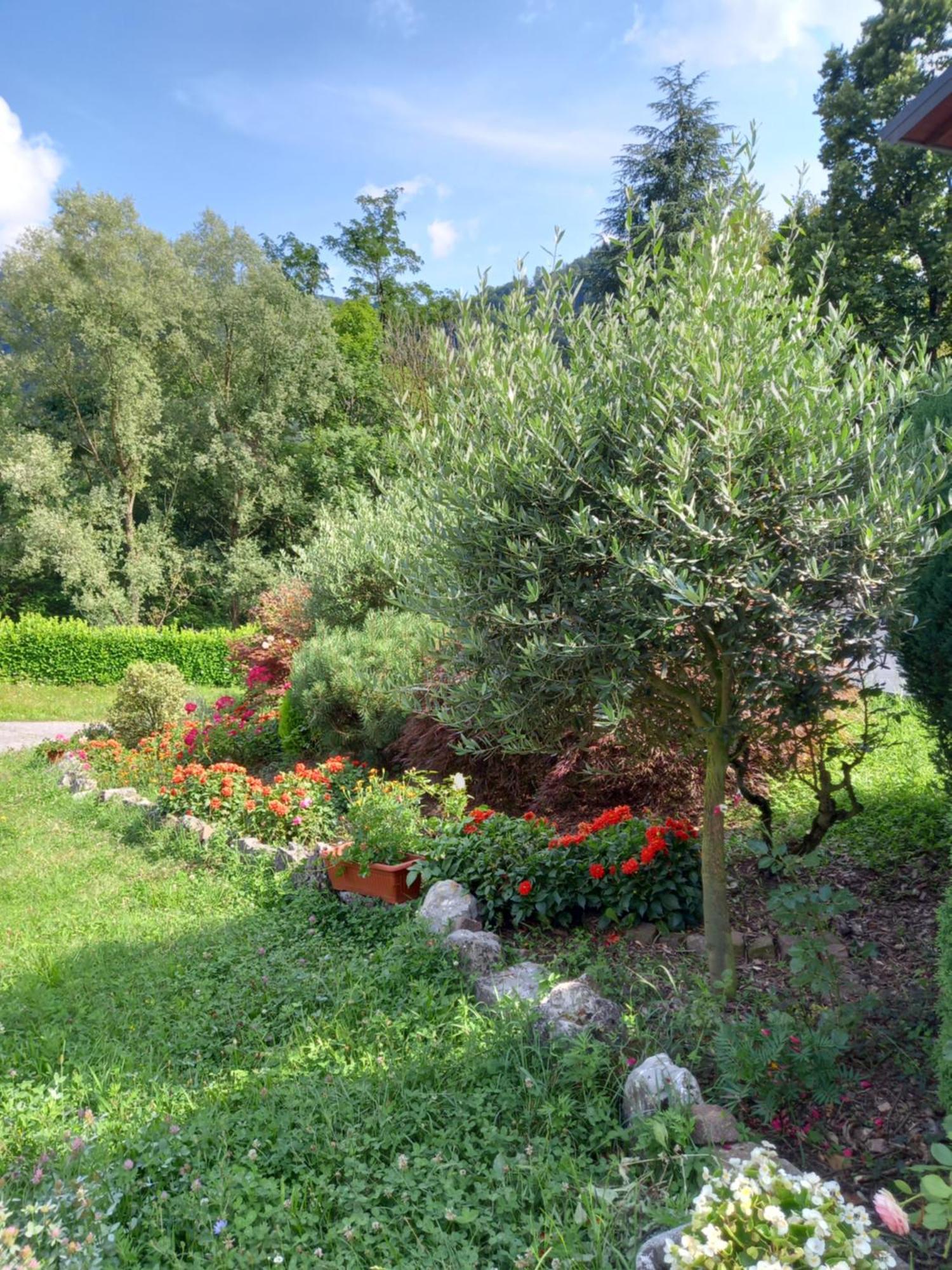 Casa Vacanze Tania Somendenna Buitenkant foto
